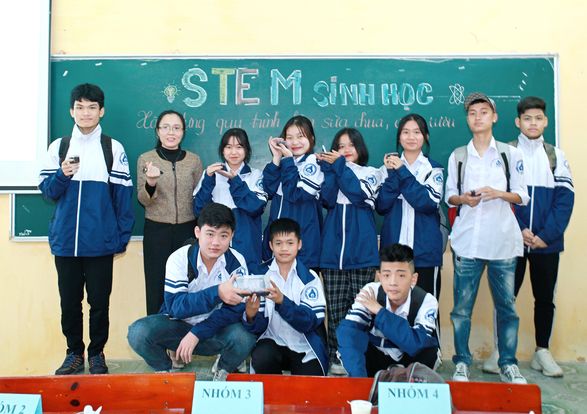stem 1